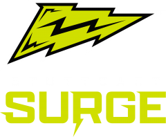 stuttgart-surge-wordfigurativemark